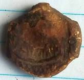 lood Frencken wijnhandel - Oosterhout - Afbeelding 5