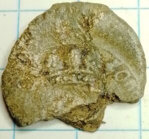 lakenlood Rotterdam 1550-1700