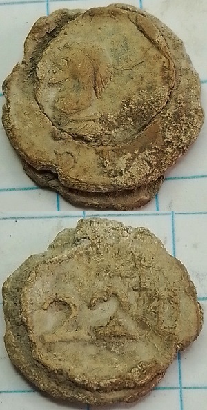 lakenlood Tiverton D.T. met gezicht -cat002-22