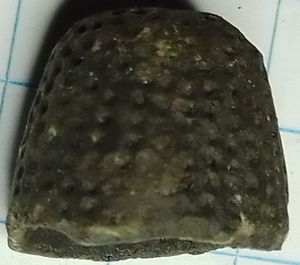 vingerhoedje 1500-1600