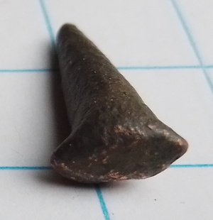 nagel voor reparatie