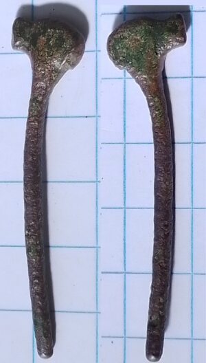 pijpenwroeter hondenkop