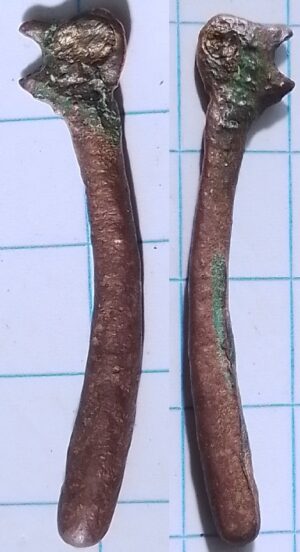 pijpenwroeter vogelkop