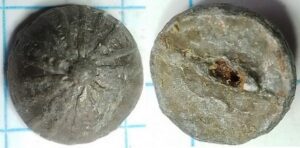 knoop spaken mandje 12mm