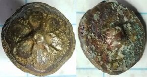 knoop bloem blaadjes in reliëf (1575-1650)