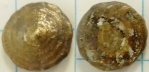 knoop kegeltje gestapelde cirkels (ca 1575-1600)