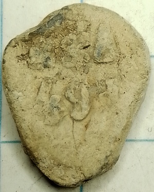 douanelood R&A 491 (LIJN)