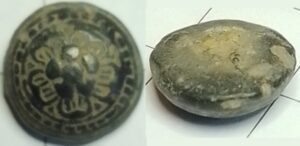 knoop bloem roosje schutsbladen