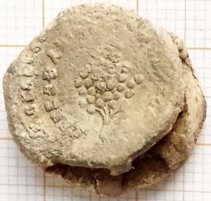 meellood tarwebloem w.0 (DE)