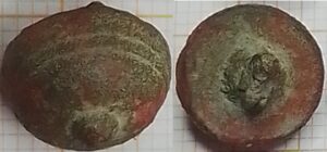 knoop lijncirkels met centrale knop