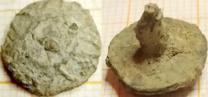 beslagplaat sterbloem op raster