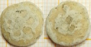 knoop bloem reliëf blaadjes