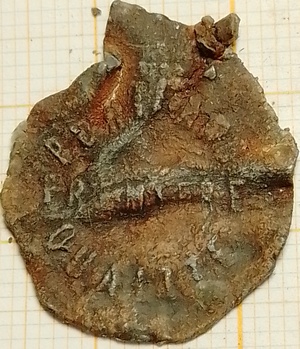 zegellood Portland Premiere Qualite