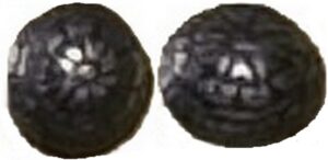 knoop bloem roosje met schutsbladen Hugo de Groot (1621)