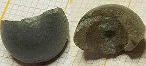 knoop kaal normaal (gebroken)