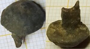 knoop kaal centrale knop 12mm