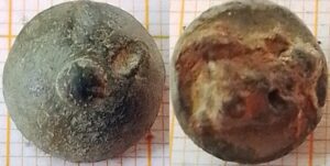 knoop kaal met knop 12mm