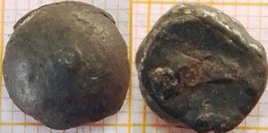 knoop kaal met knop 11mm