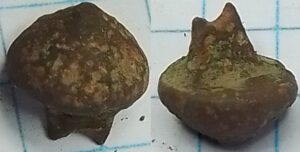 knoop kegel radmotief