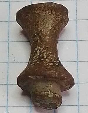 knop koffie- of thee-kan