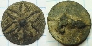 sterbloem op raster zesblad