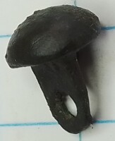 massieve convexe kop