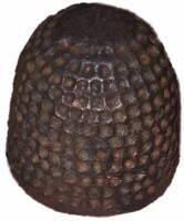 bijenkorf kale kroon