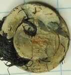 AccGst 46 met zwarte haren